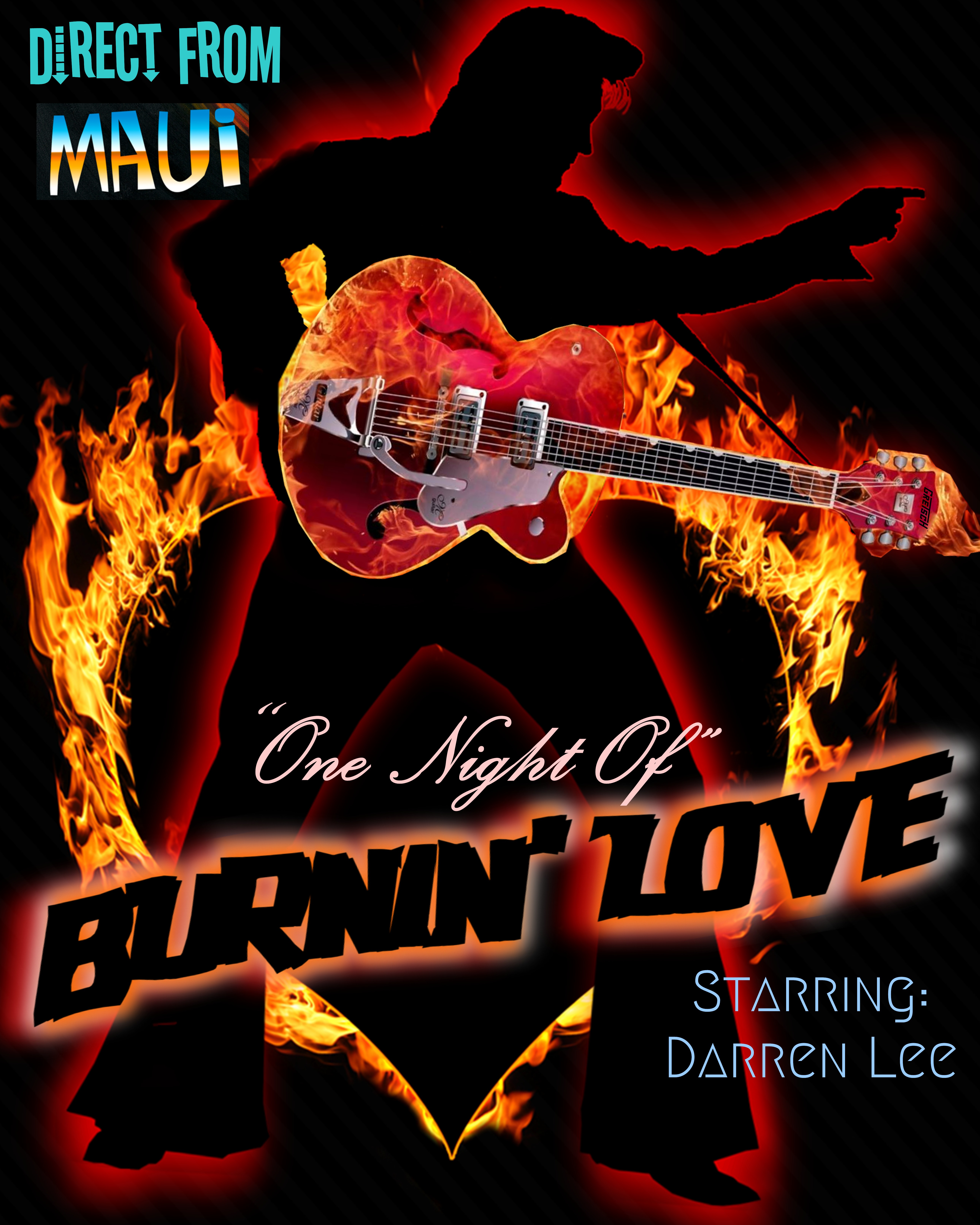 One Night Of Burnin' Love Promo Poster